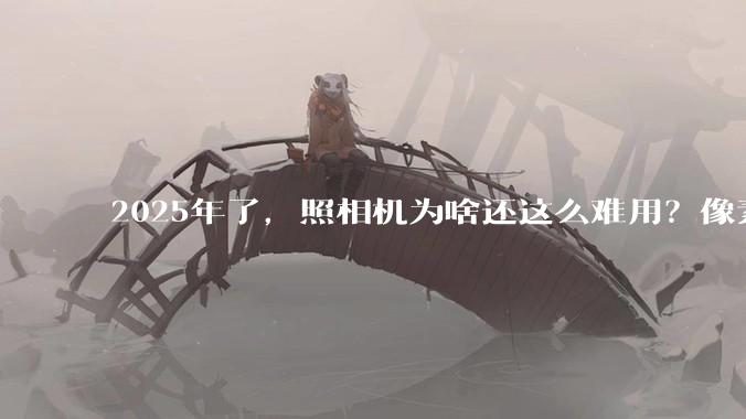 2025年了，照相机为啥还这么难用？像素低还很贵？