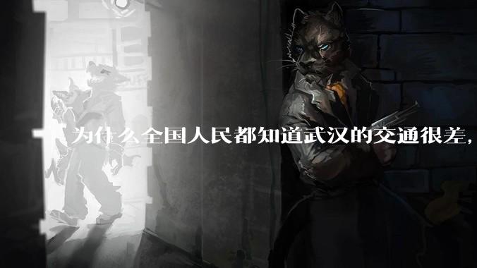 为什么全国人民都知道武汉的交通很差，但是武汉人不知道？