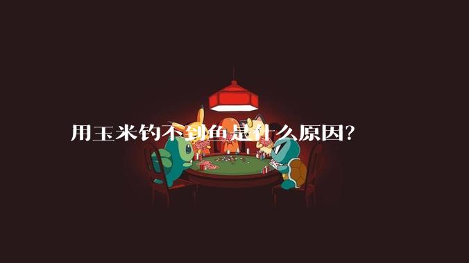 用玉米钓不到鱼是什么原因？