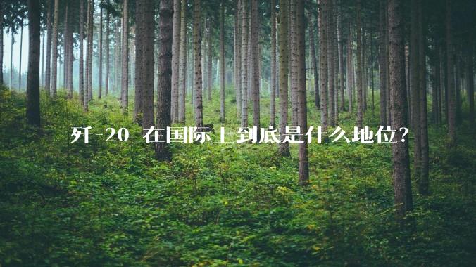 歼-20 在国际上到底是什么地位？