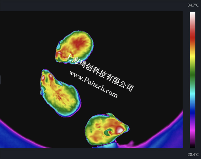 ?？滴⒂昂焱馊瘸上窦际醵允笛樾∈蠼锌蒲泄鄄? onerror=